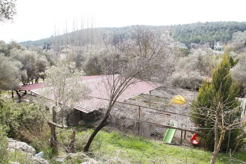 en iyi kahvaltı restoranı, nirvana kahvaltı, çiçekliköy en iyi kahvaltı salonu