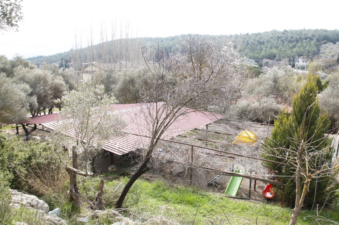 en iyi kahvaltı restoranı, nirvana kahvaltı, çiçekliköy en iyi kahvaltı salonu