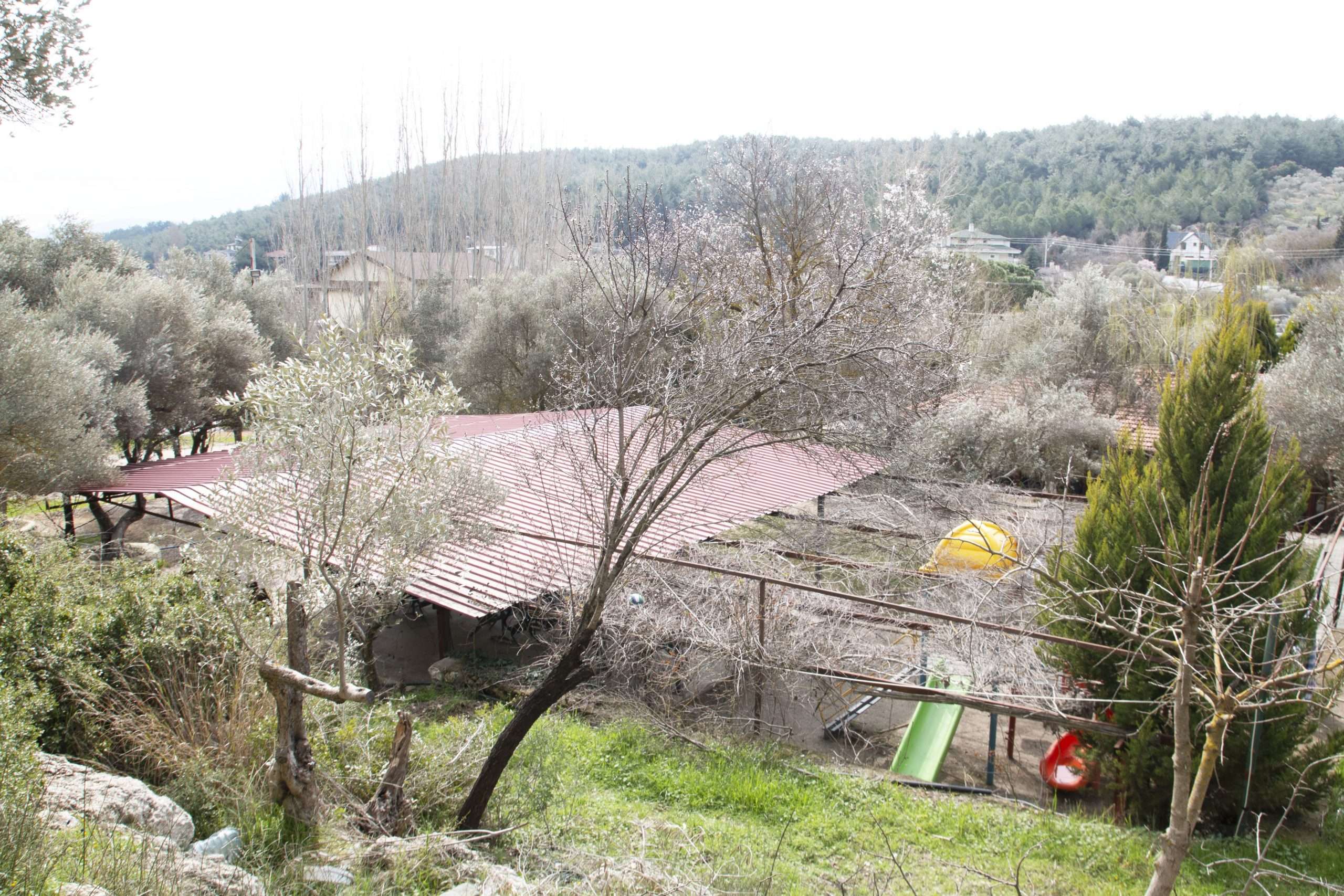 en iyi kahvaltı restoranı, nirvana kahvaltı, çiçekliköy en iyi kahvaltı salonu